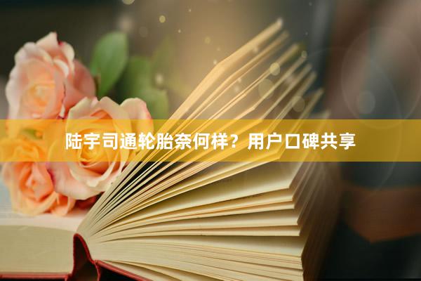 陆宇司通轮胎奈何样？用户口碑共享